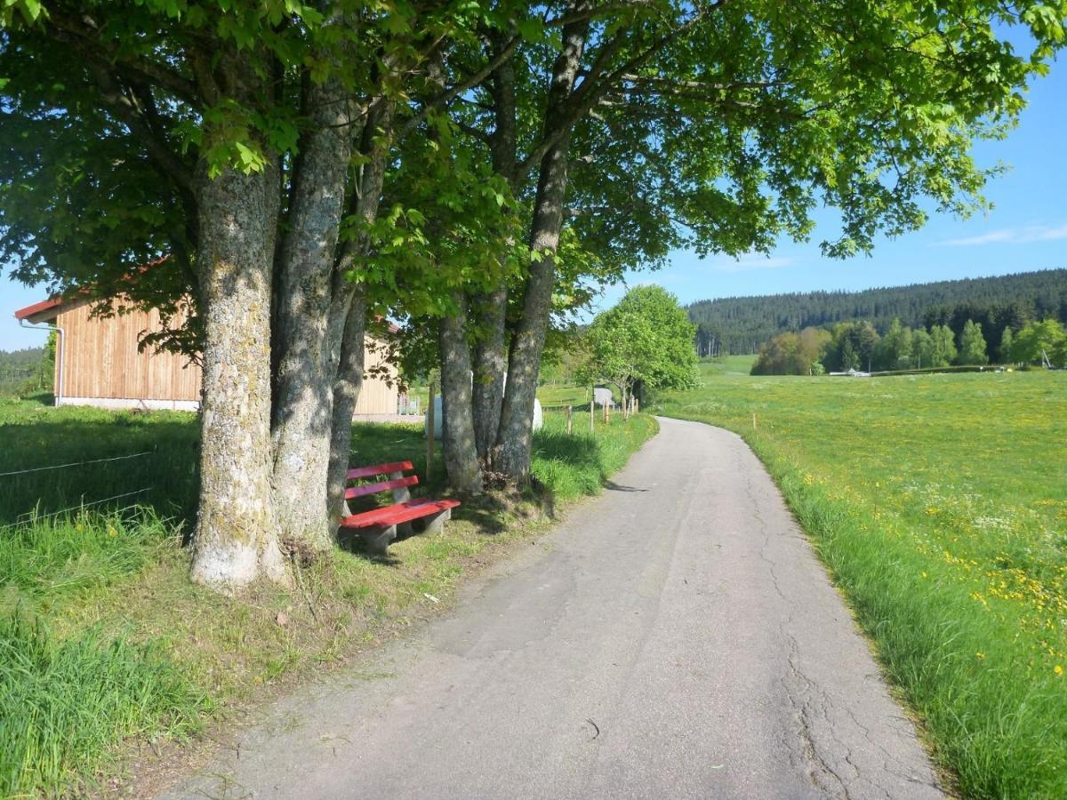 Gaestehaus Hundelbach Lenzkirch Exterior foto